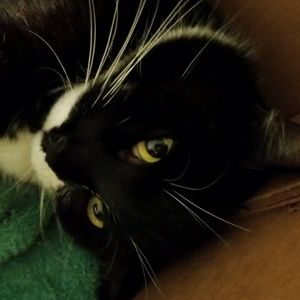 Meet your Posher, Maggie